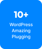WordPress Amazing Plugging